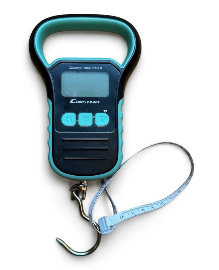 Constant electronic hanging luggage scale with its webbing strap and steel hook