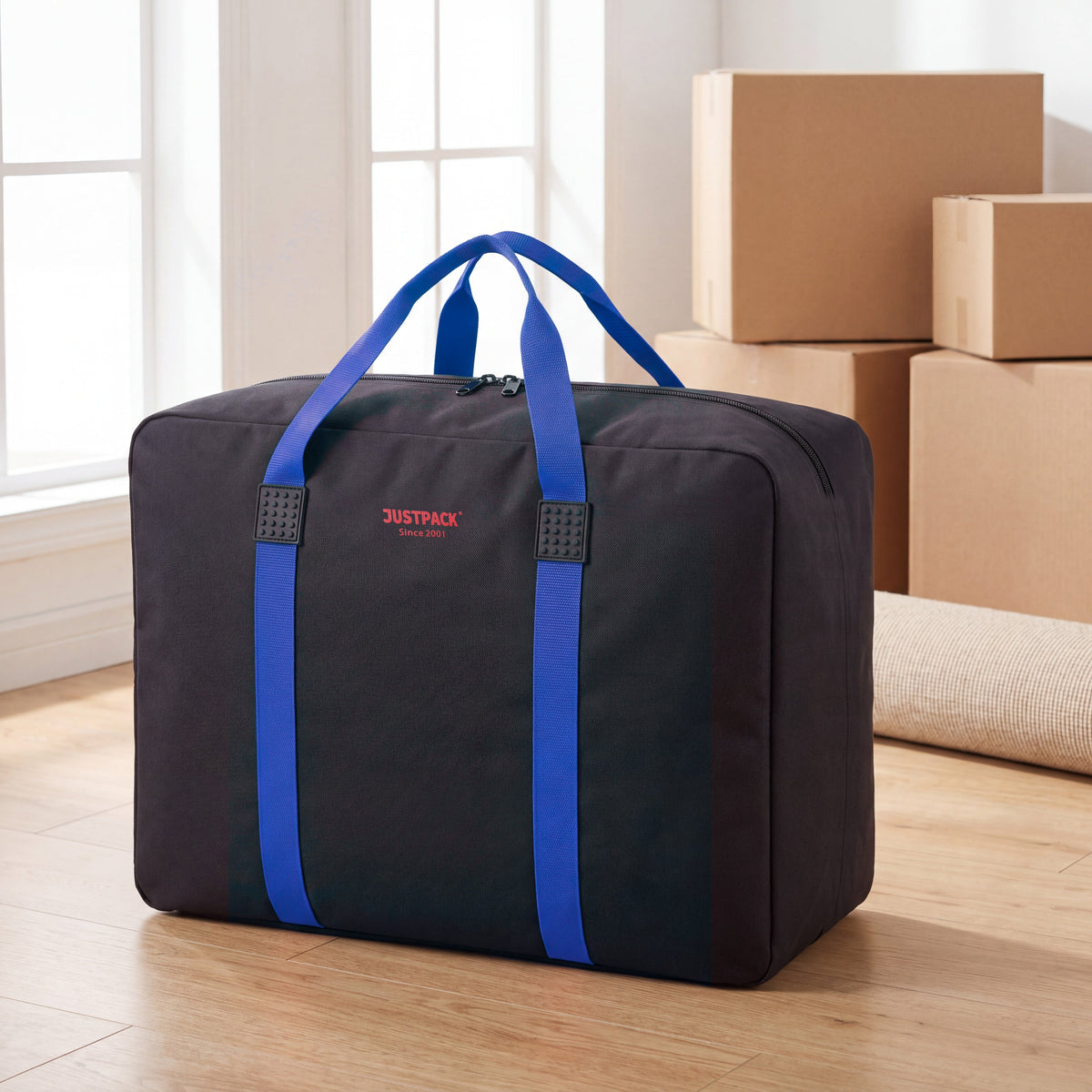 Black with Blue Straps Stowaway on moving day