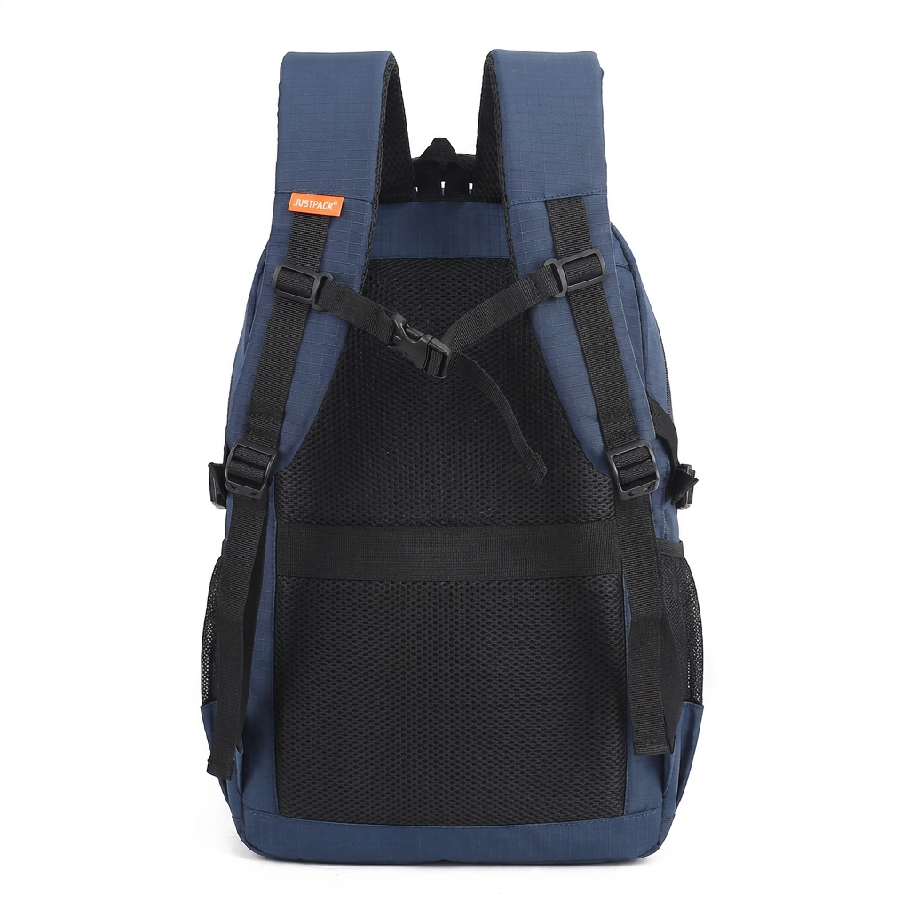 JP604 | Blue | rear